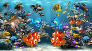 fish tank